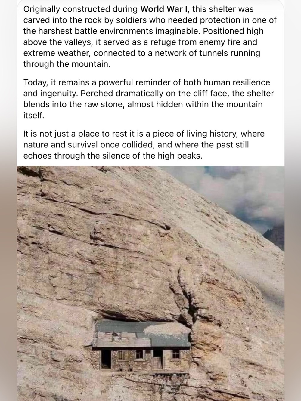 - #7 Follow Game , 🗻
